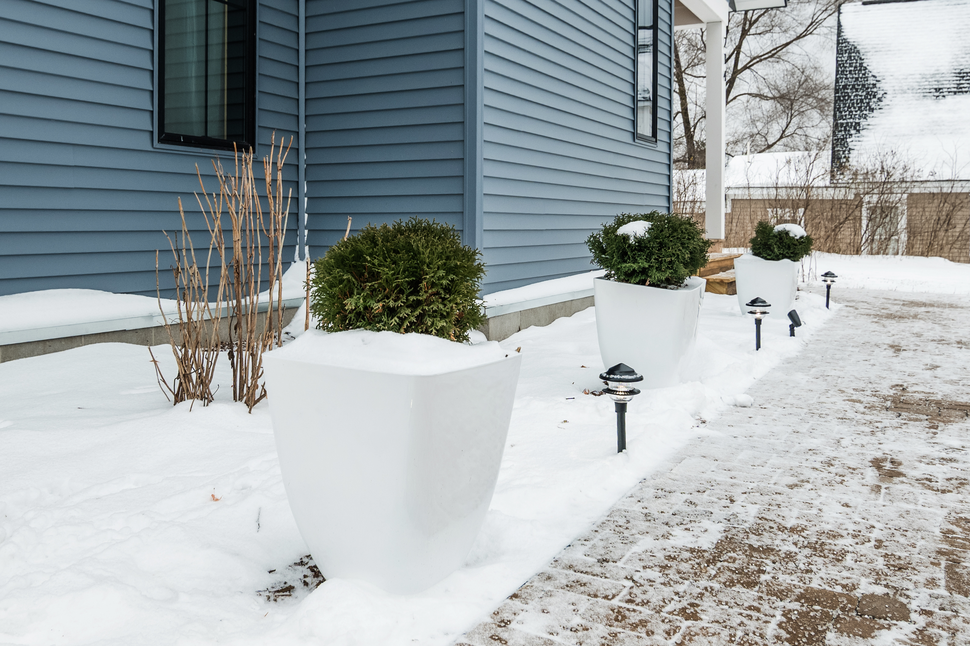 Plants Along Entry Path